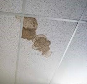 Chantier — infiltrations